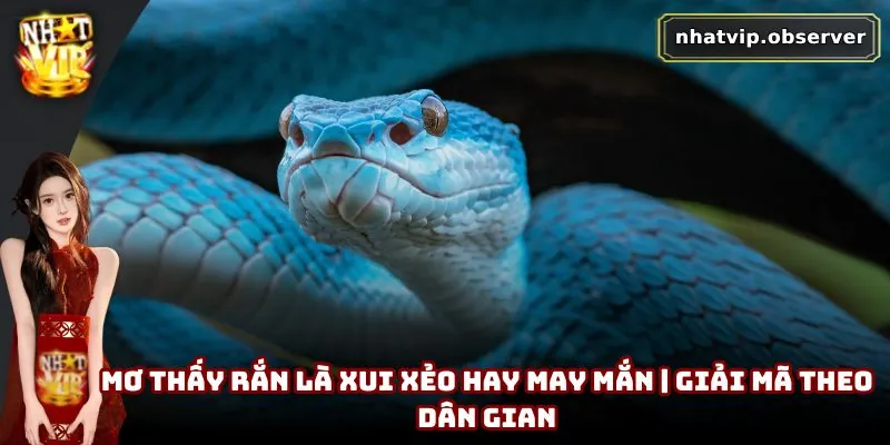 Mơ Thấy Rắn Là Xui Xẻo Hay May Mắn | Giải Mã Theo Dân Gian Mơ Thấy Rắn Là Xui Xẻo Hay May Mắn | Giải Mã Theo Dân Gian