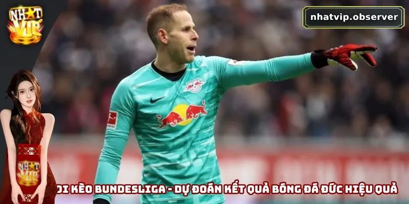 Soi Kèo Bundesliga - Dự Đoán Kết Quả Bóng Đá Đức Hiệu Quả Soi Kèo Bundesliga - Dự Đoán Kết Quả Bóng Đá Đức Hiệu Quả